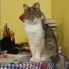 Отзыв от Вика Константинова